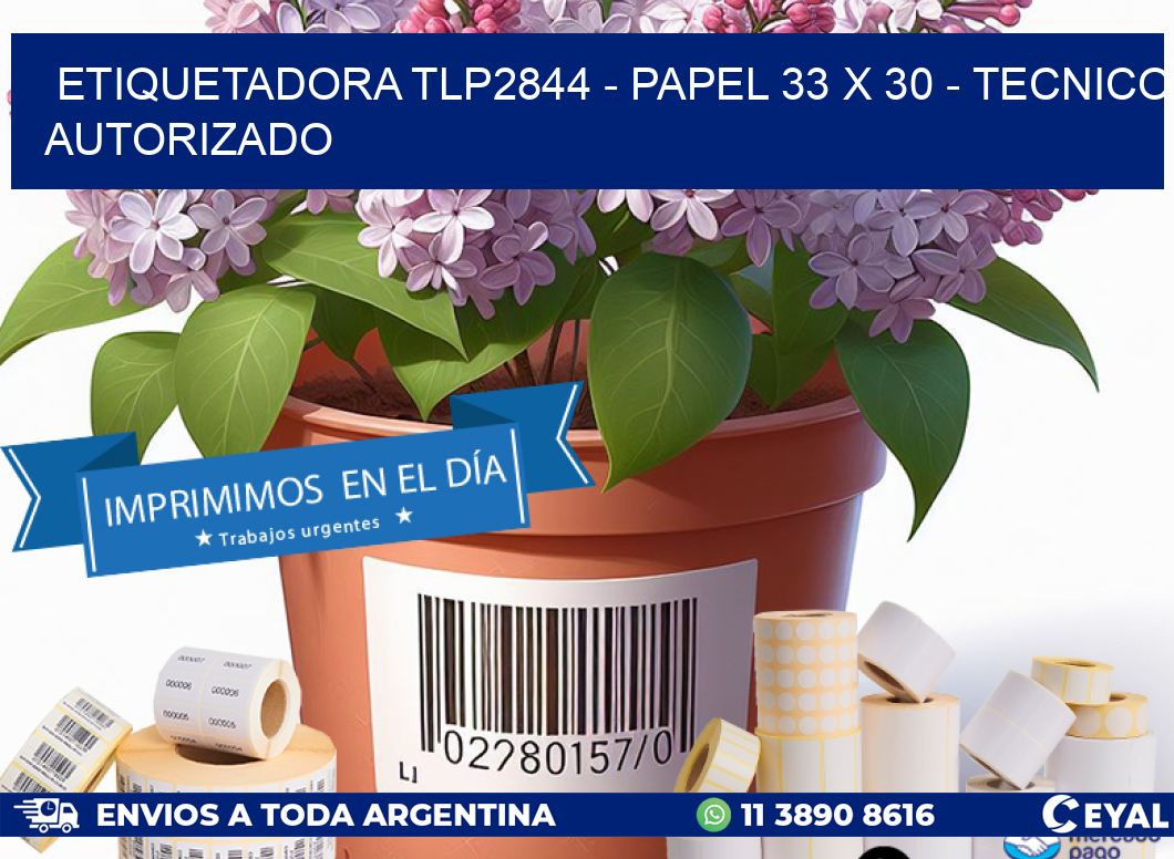ETIQUETADORA TLP2844 - PAPEL 33 x 30 - TECNICO AUTORIZADO