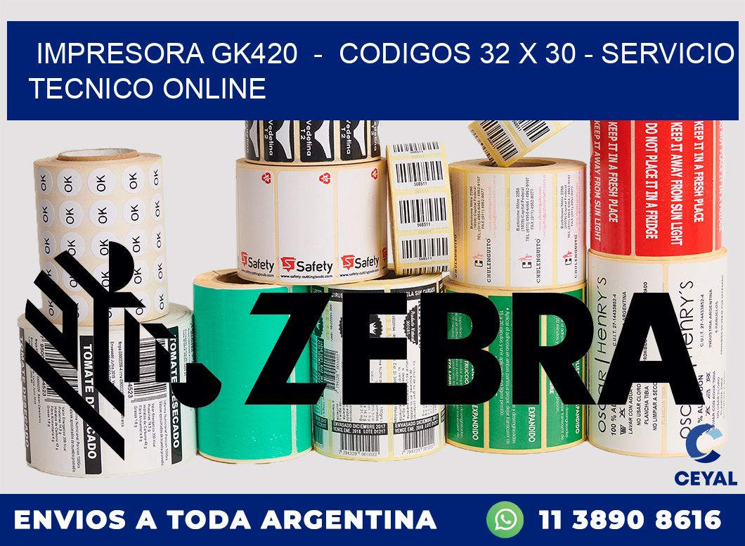 IMPRESORA GK420  -  CODIGOS 32 x 30 - SERVICIO TECNICO ONLINE