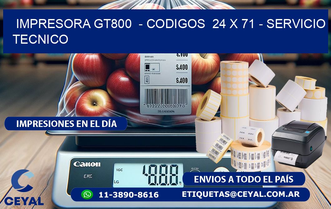 IMPRESORA GT800  - CODIGOS  24 x 71 - SERVICIO TECNICO