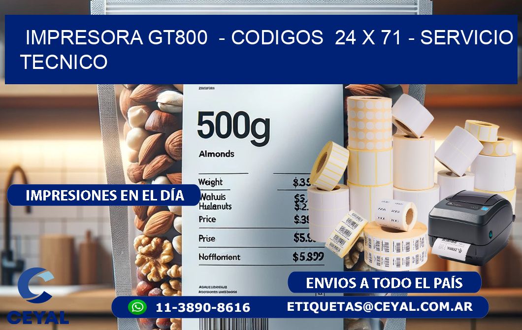 IMPRESORA GT800  – CODIGOS  24 x 71 – SERVICIO TECNICO