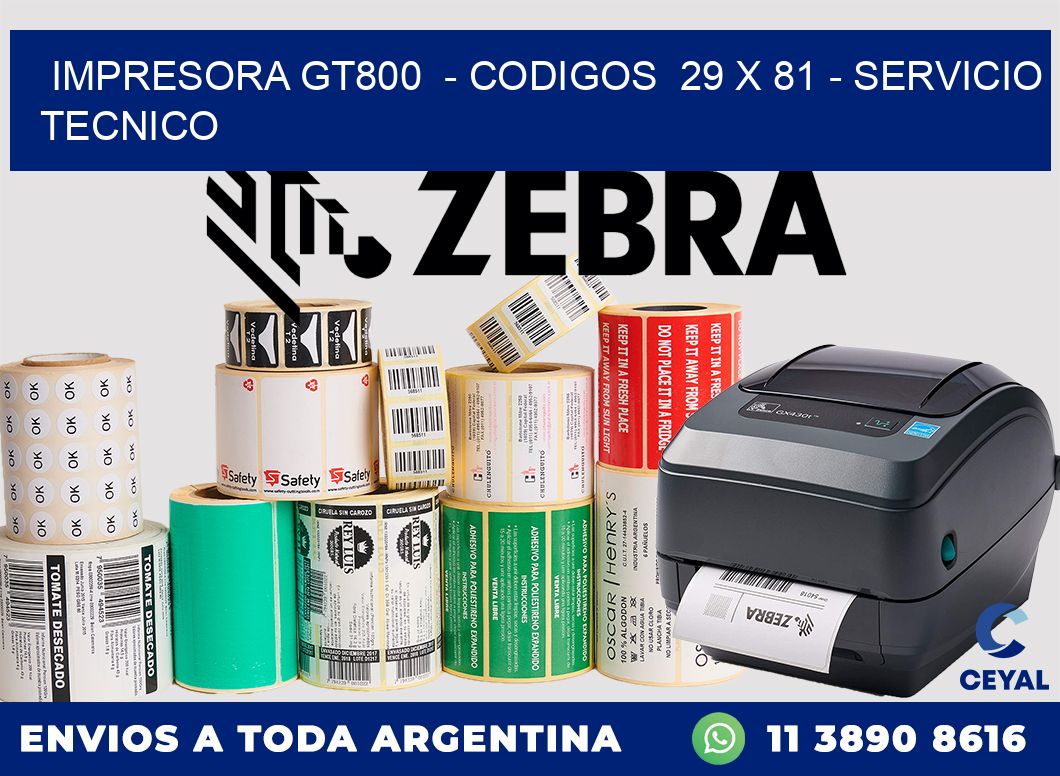 IMPRESORA GT800  - CODIGOS  29 x 81 - SERVICIO TECNICO