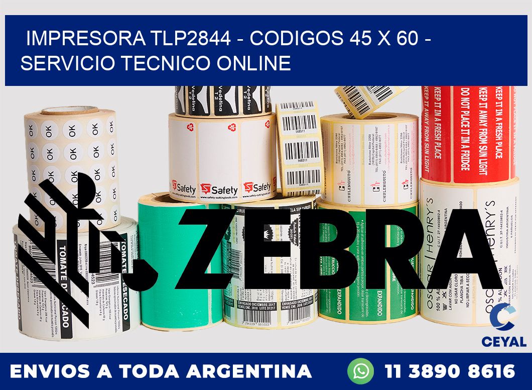 IMPRESORA TLP2844 - CODIGOS 45 x 60 - SERVICIO TECNICO ONLINE