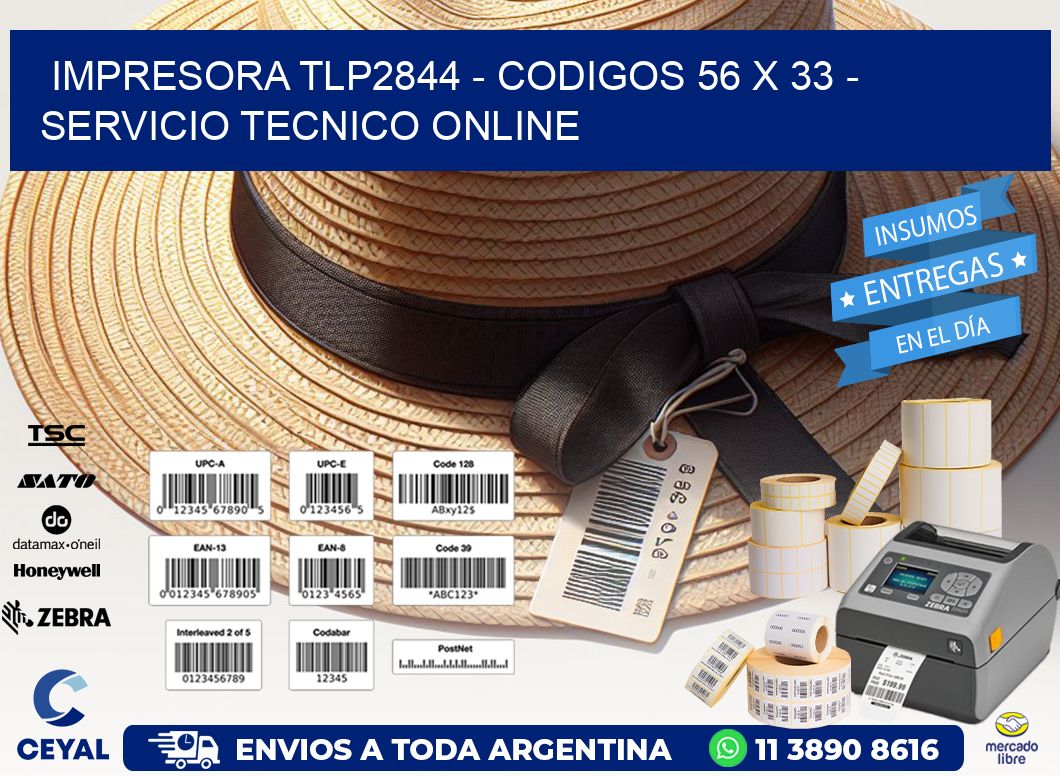 IMPRESORA TLP2844 - CODIGOS 56 x 33 - SERVICIO TECNICO ONLINE