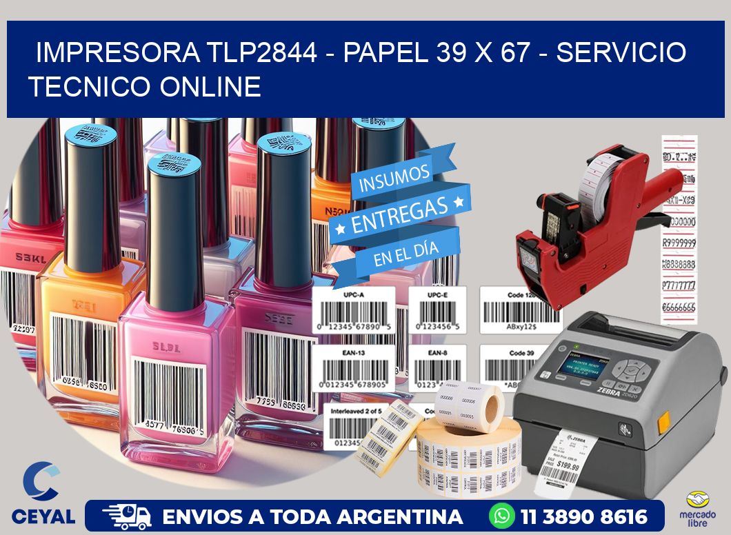 IMPRESORA TLP2844 - PAPEL 39 x 67 - SERVICIO TECNICO ONLINE