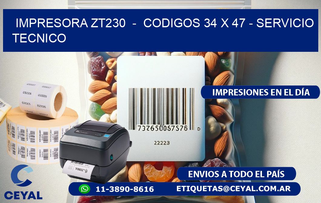 IMPRESORA ZT230  -  CODIGOS 34 x 47 - SERVICIO TECNICO