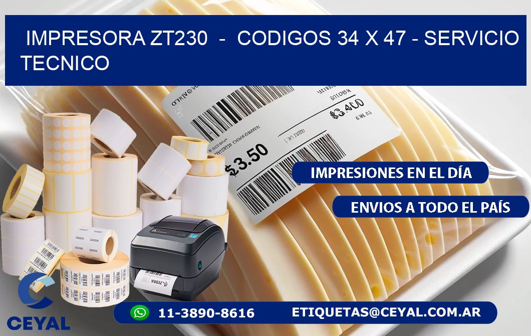 IMPRESORA ZT230  –  CODIGOS 34 x 47 – SERVICIO TECNICO