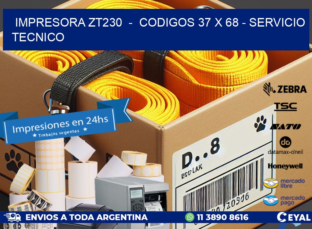 IMPRESORA ZT230  -  CODIGOS 37 x 68 - SERVICIO TECNICO