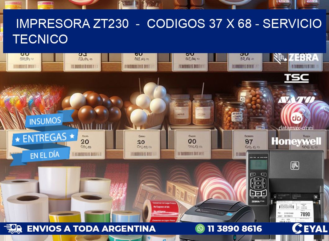 IMPRESORA ZT230  -  CODIGOS 37 x 68 - SERVICIO TECNICO