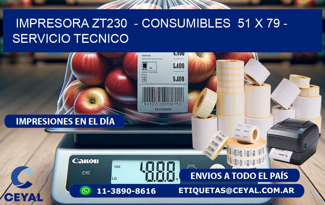 IMPRESORA ZT230  - CONSUMIBLES  51 x 79 - SERVICIO TECNICO