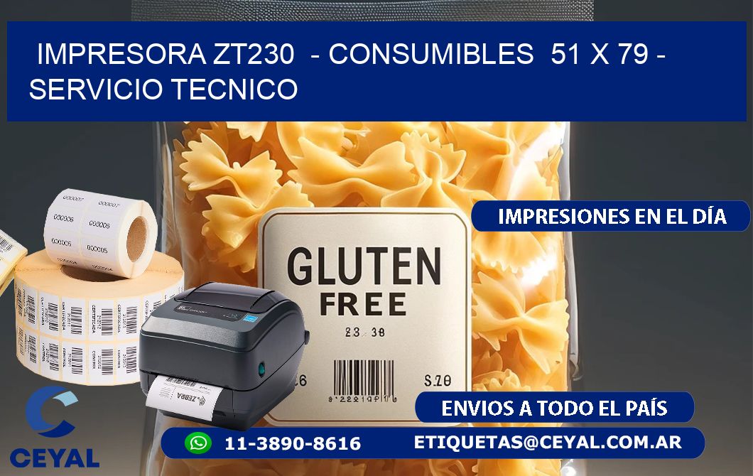 IMPRESORA ZT230  – CONSUMIBLES  51 x 79 – SERVICIO TECNICO