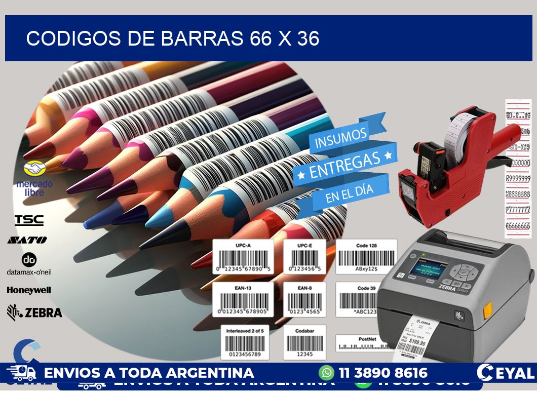 codigos de barras 66 x 36