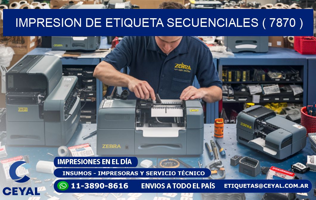 IMPRESION DE ETIQUETA SECUENCIALES ( 7870 )