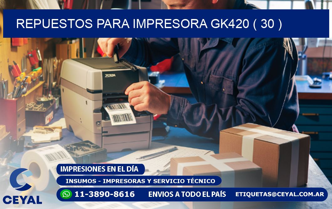 REPUESTOS PARA IMPRESORA GK420 ( 30 )