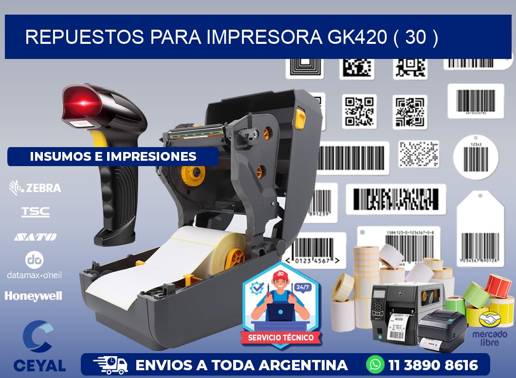 REPUESTOS PARA IMPRESORA GK420 ( 30 )