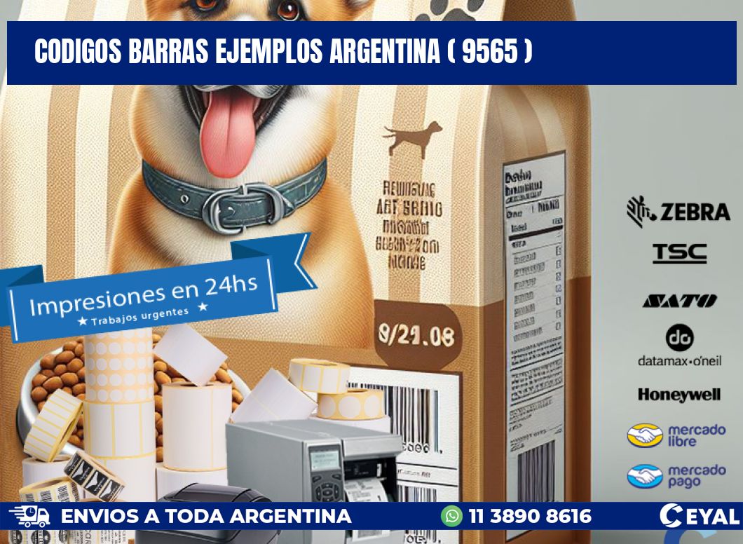 codigos barras ejemplos argentina ( 9565 )