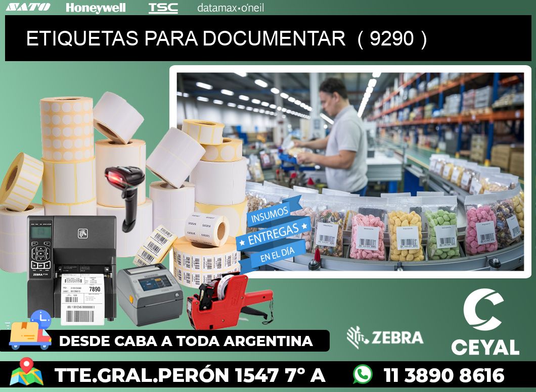 ETIQUETAS PARA DOCUMENTAR  ( 9290 )