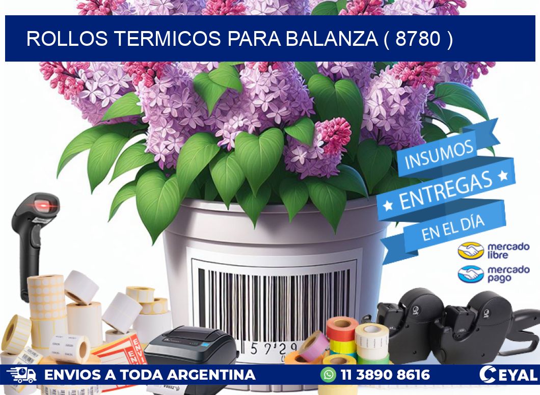 ROLLOS TERMICOS PARA BALANZA ( 8780 )