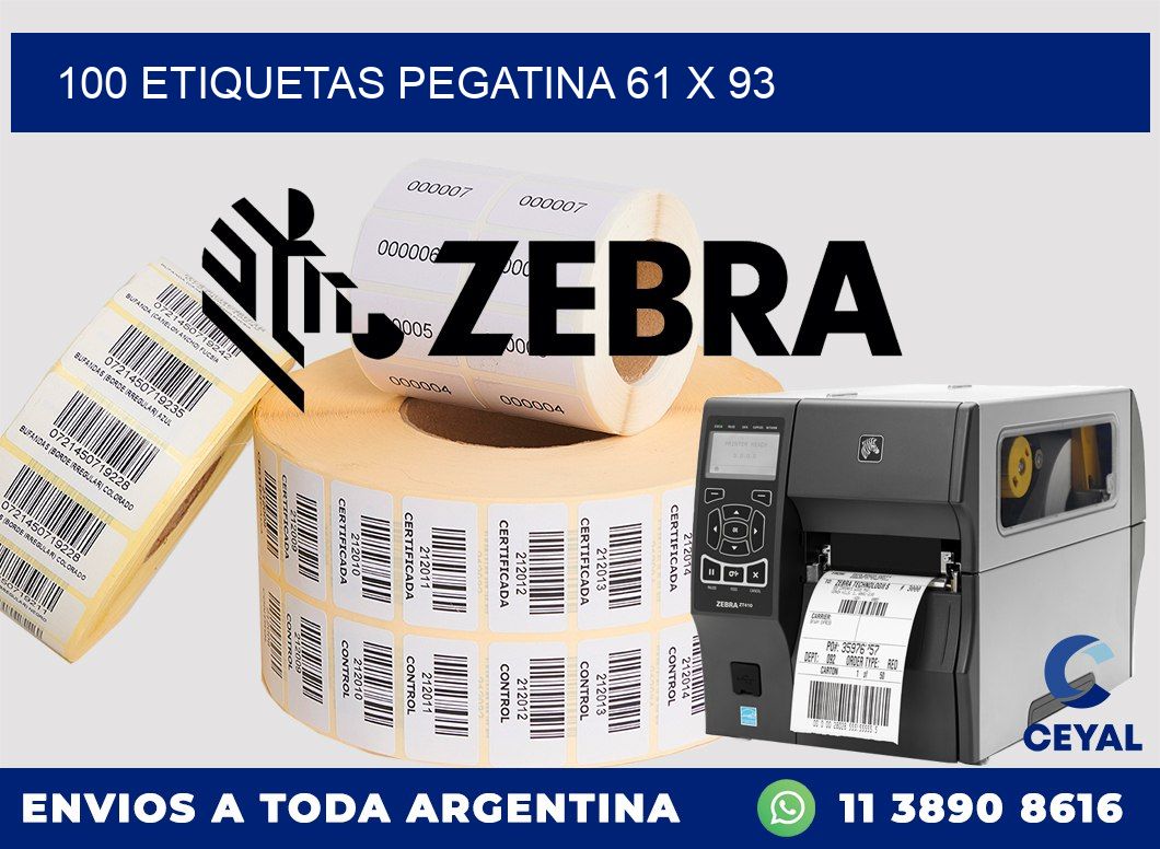 100 ETIQUETAS PEGATINA 61 x 93