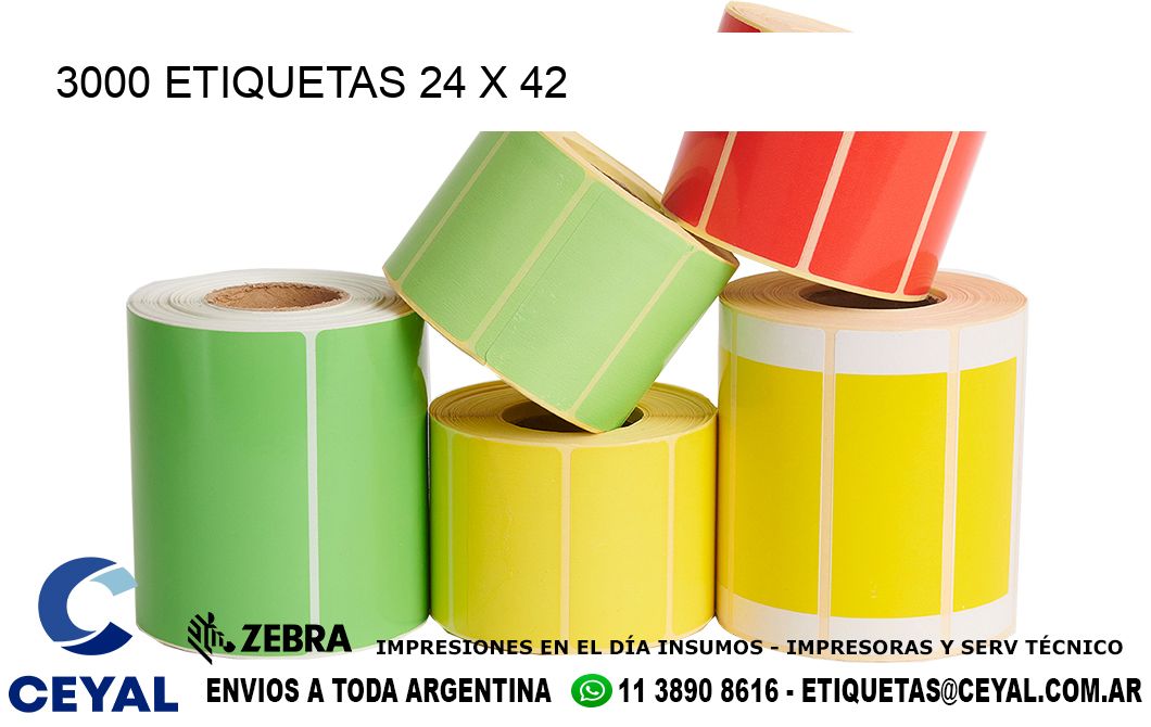 3000 ETIQUETAS 24 x 42