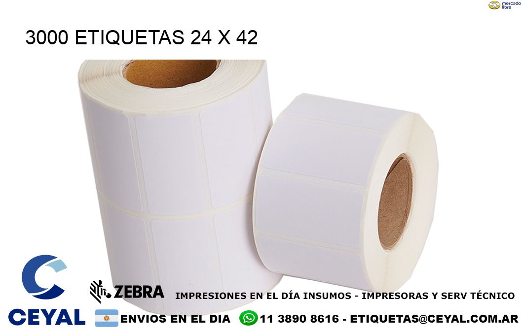 3000 ETIQUETAS 24 x 42