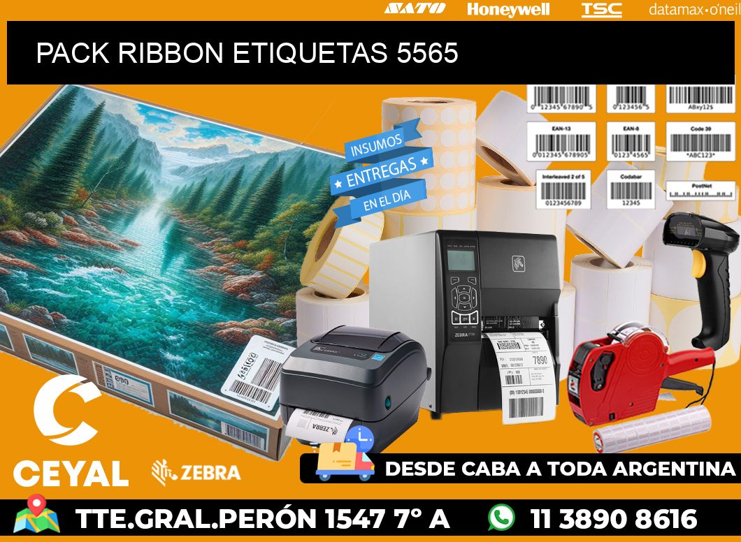 PACK RIBBON ETIQUETAS 5565