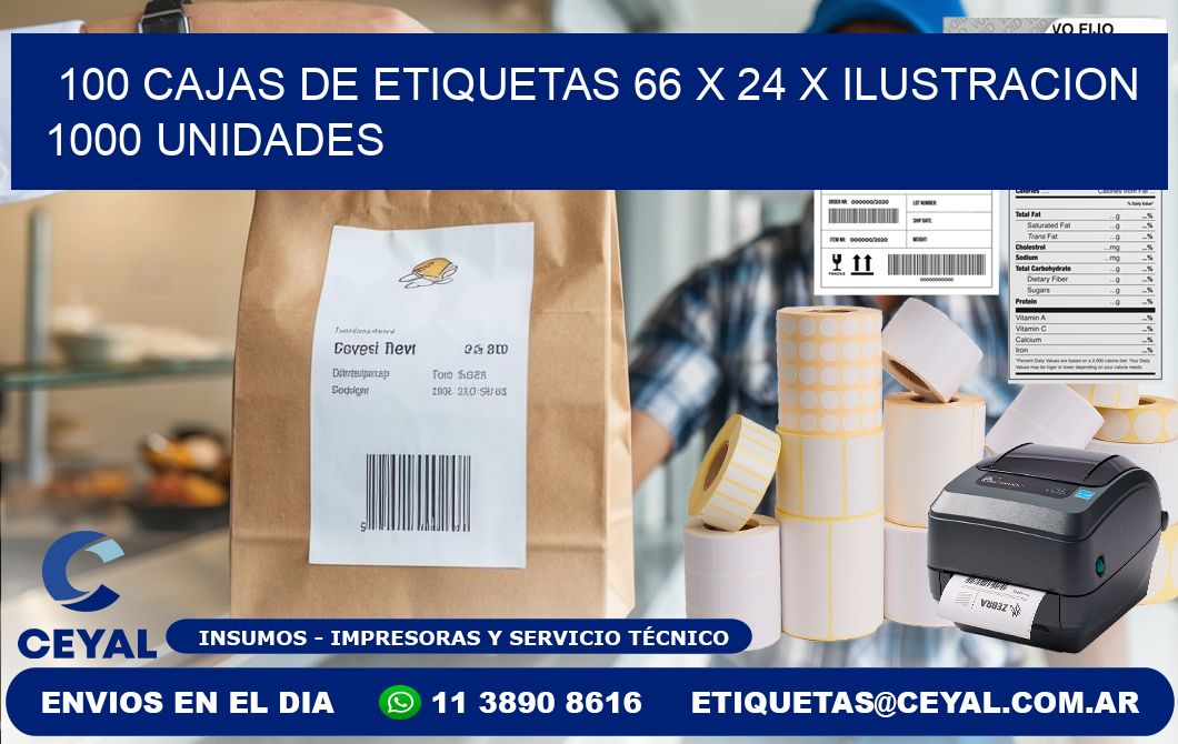 100 CAJAS DE ETIQUETAS 66 x 24 X ILUSTRACION 1000 UNIDADES