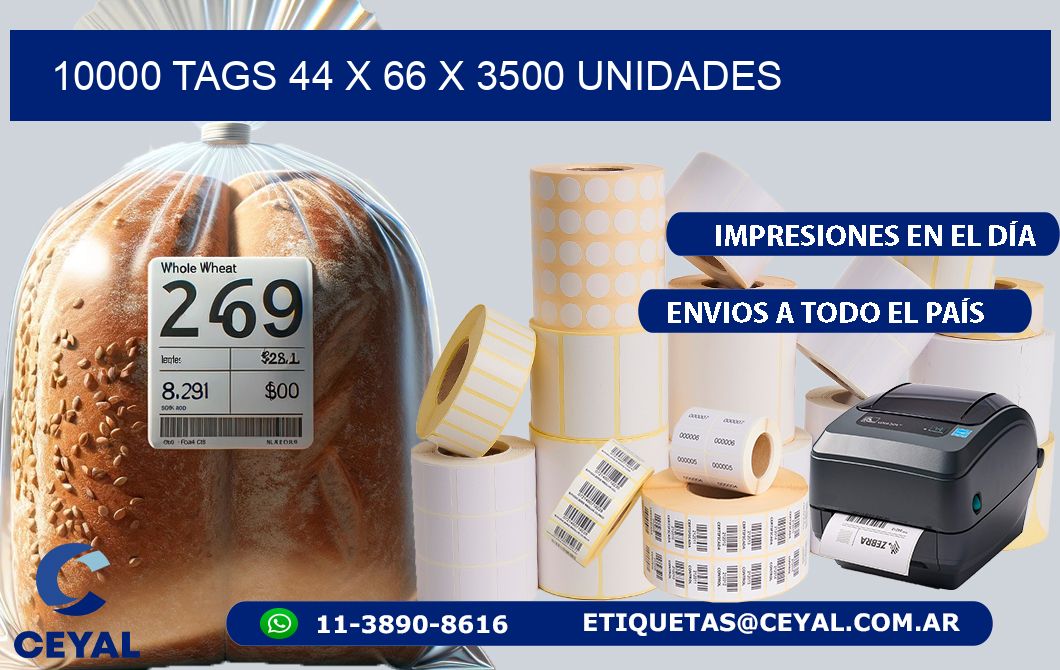 10000 TAGS 44 x 66 X 3500 UNIDADES