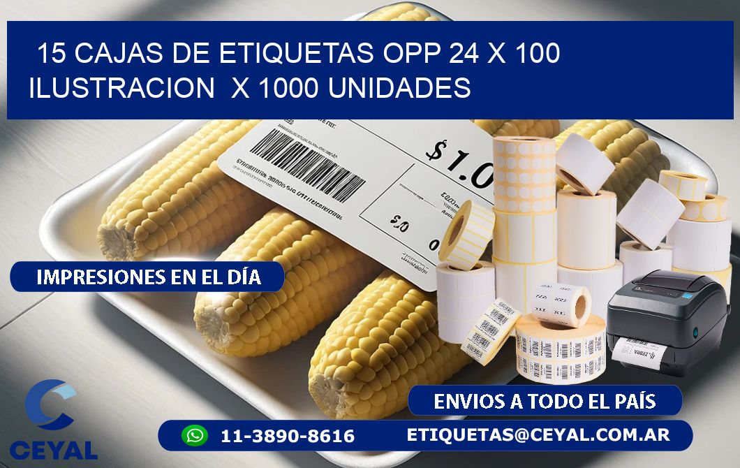 15 CAJAS DE ETIQUETAS OPP 24 x 100 ILUSTRACION  X 1000 UNIDADES