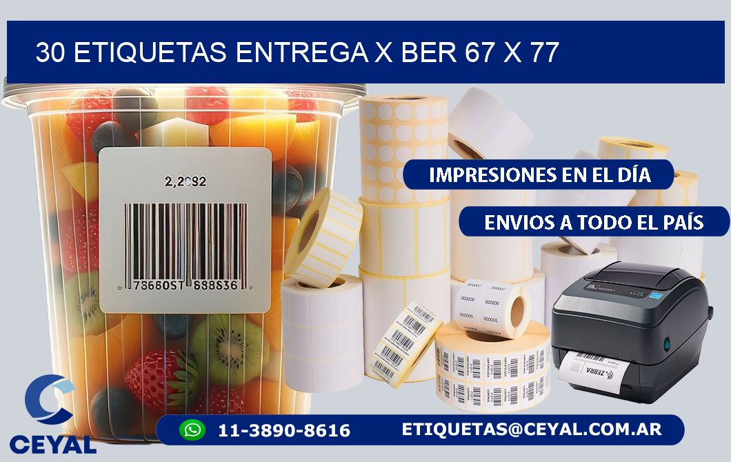 30 ETIQUETAS ENTREGA X BER 67 x 77