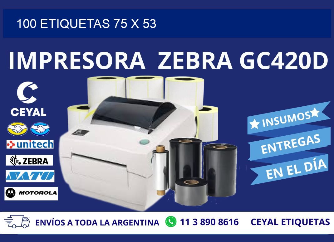 100 ETIQUETAS 75 x 53