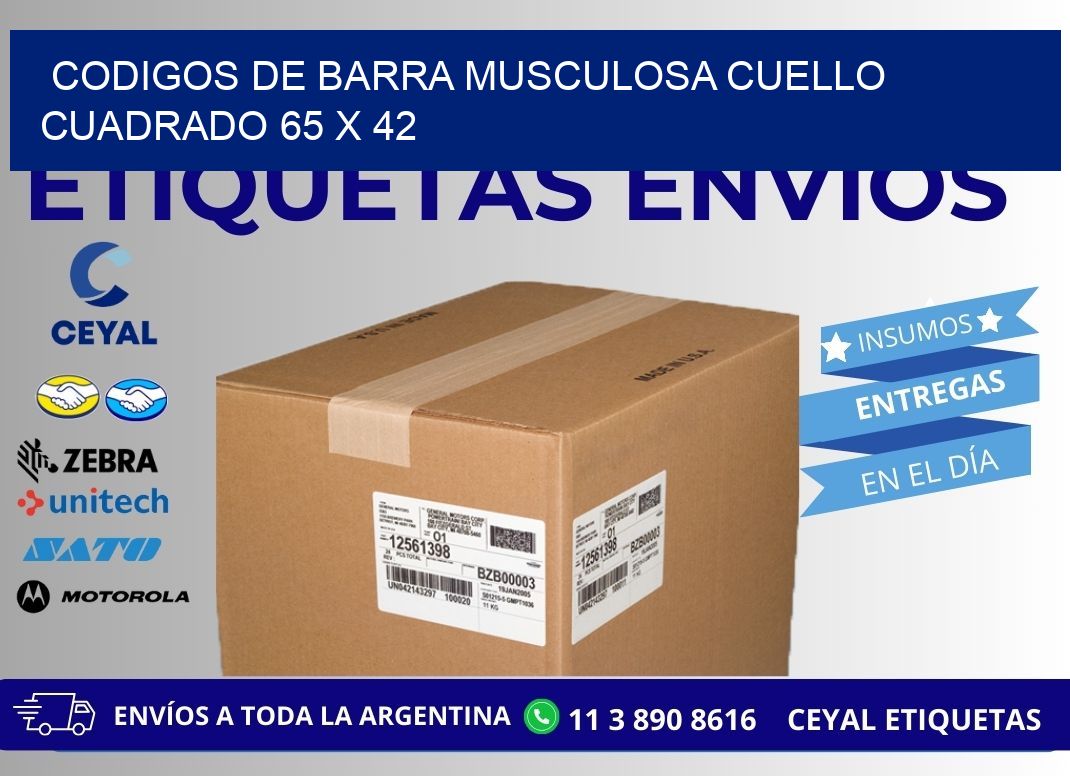 CODIGOS DE BARRA MUSCULOSA CUELLO CUADRADO 65 x 42