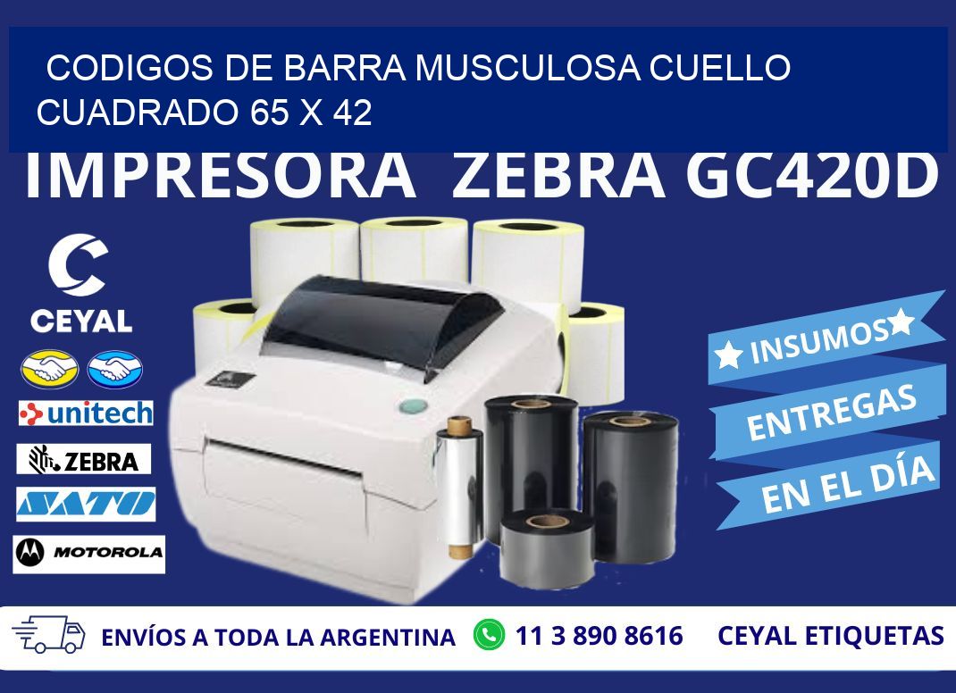 CODIGOS DE BARRA MUSCULOSA CUELLO CUADRADO 65 x 42