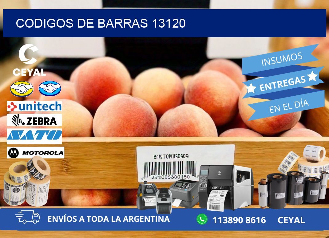CODIGOS DE BARRAS 13120
