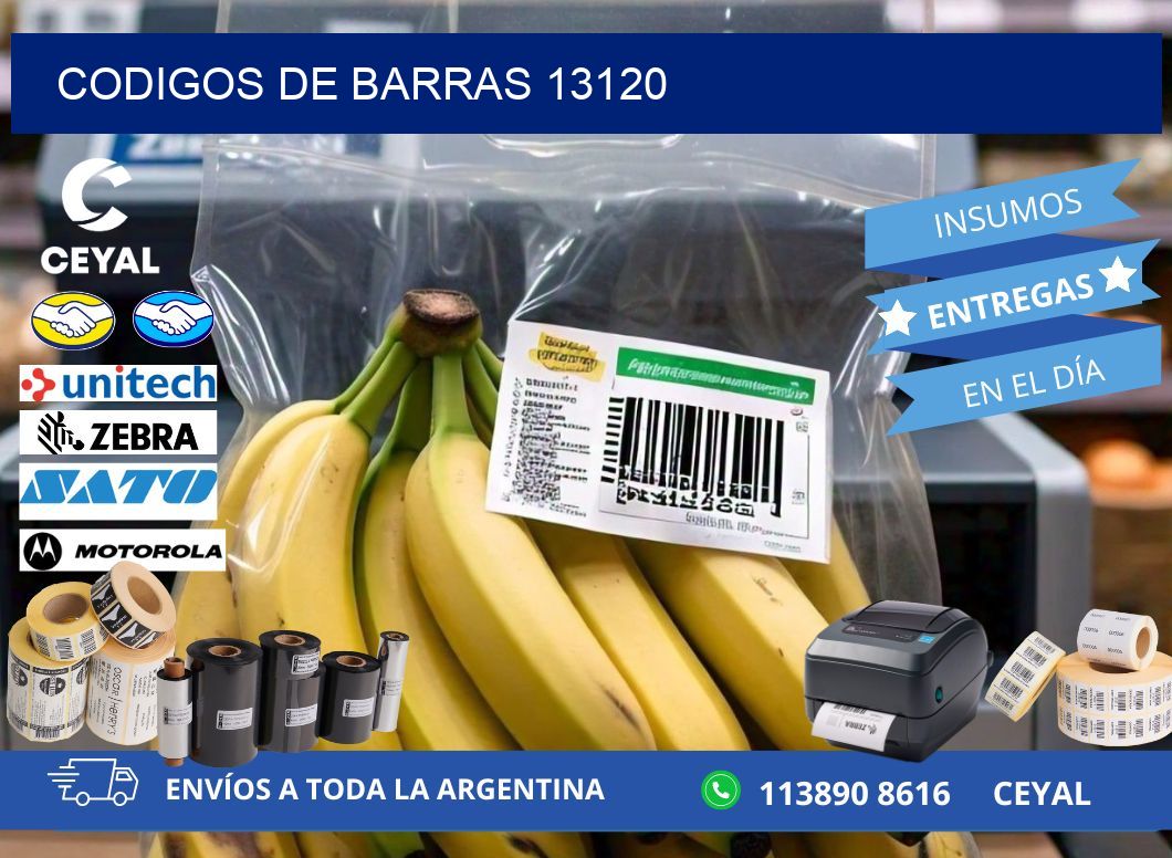 CODIGOS DE BARRAS 13120