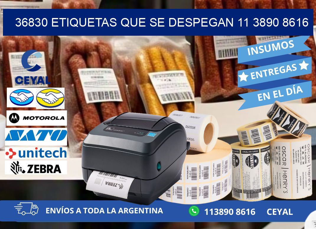 36830 ETIQUETAS QUE SE DESPEGAN 11 3890 8616