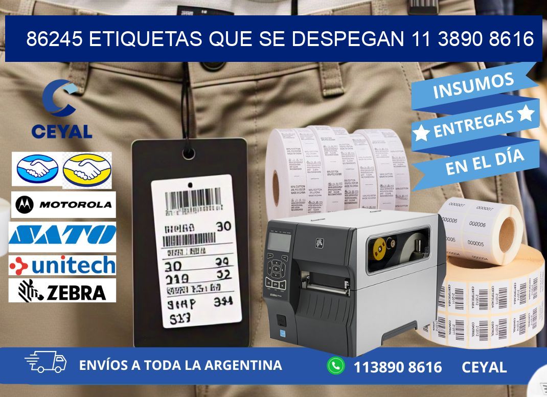 86245 ETIQUETAS QUE SE DESPEGAN 11 3890 8616