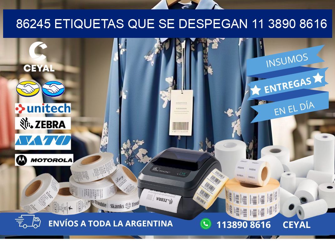 86245 ETIQUETAS QUE SE DESPEGAN 11 3890 8616