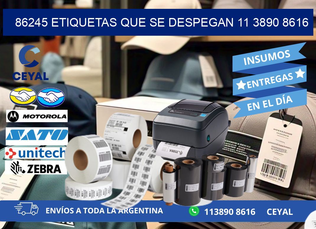 86245 ETIQUETAS QUE SE DESPEGAN 11 3890 8616