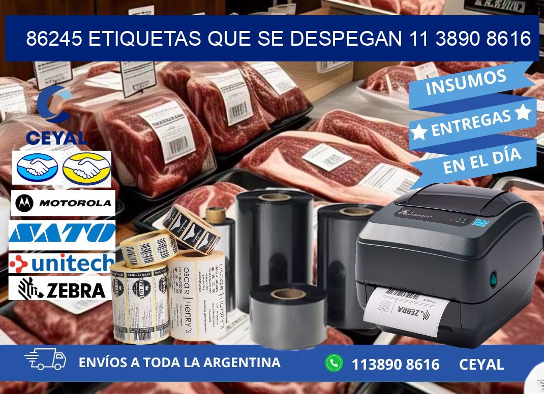 86245 ETIQUETAS QUE SE DESPEGAN 11 3890 8616