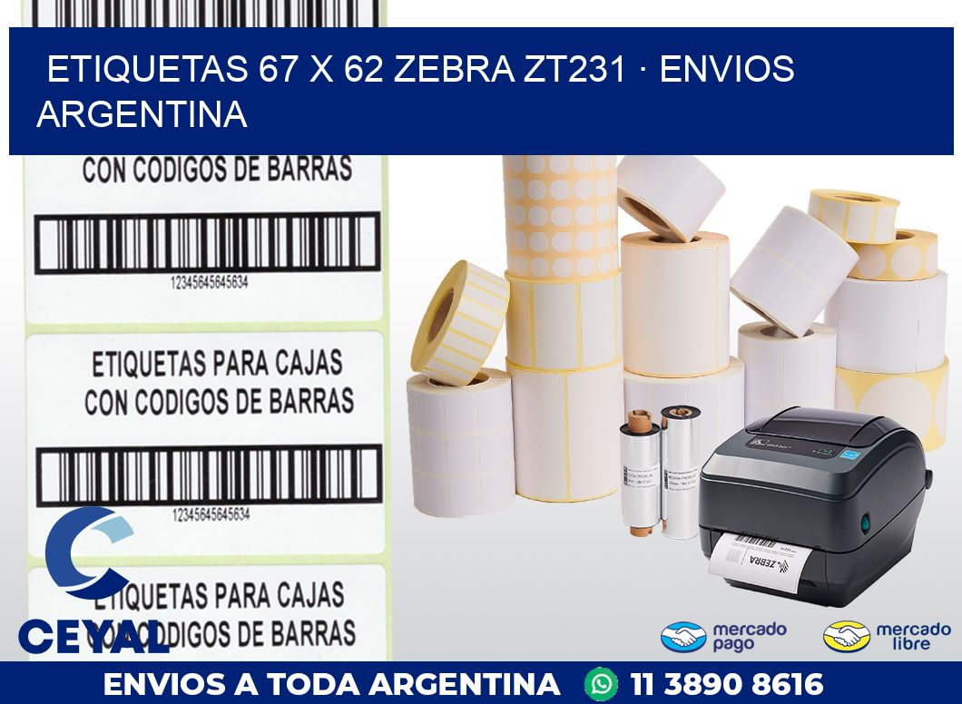 ETIQUETAS 67 x 62 ZEBRA ZT231 · ENVIOS ARGENTINA