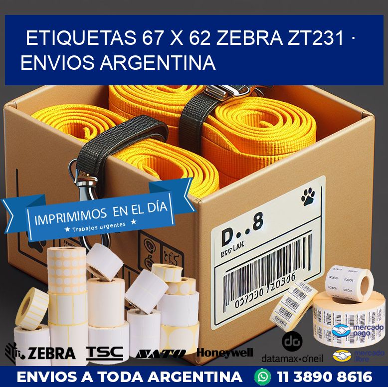 ETIQUETAS 67 x 62 ZEBRA ZT231 · ENVIOS ARGENTINA