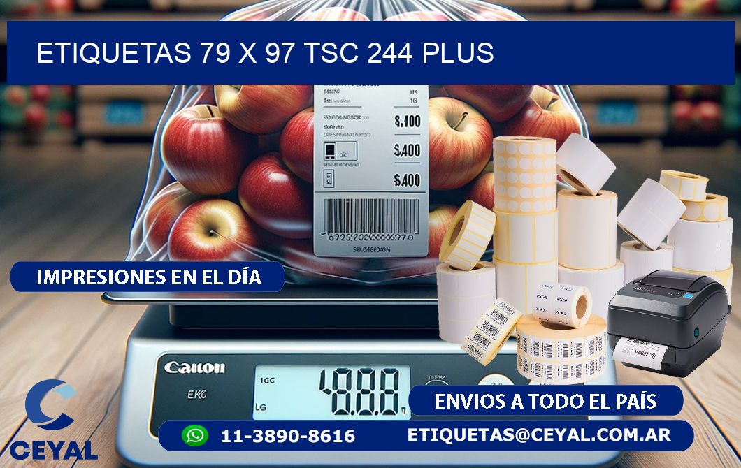 ETIQUETAS 79 x 97 TSC 244 PLUS