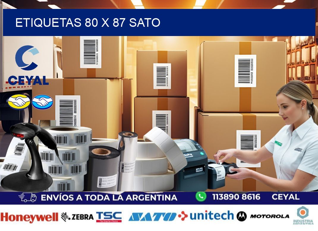 ETIQUETAS 80 x 87 SATO