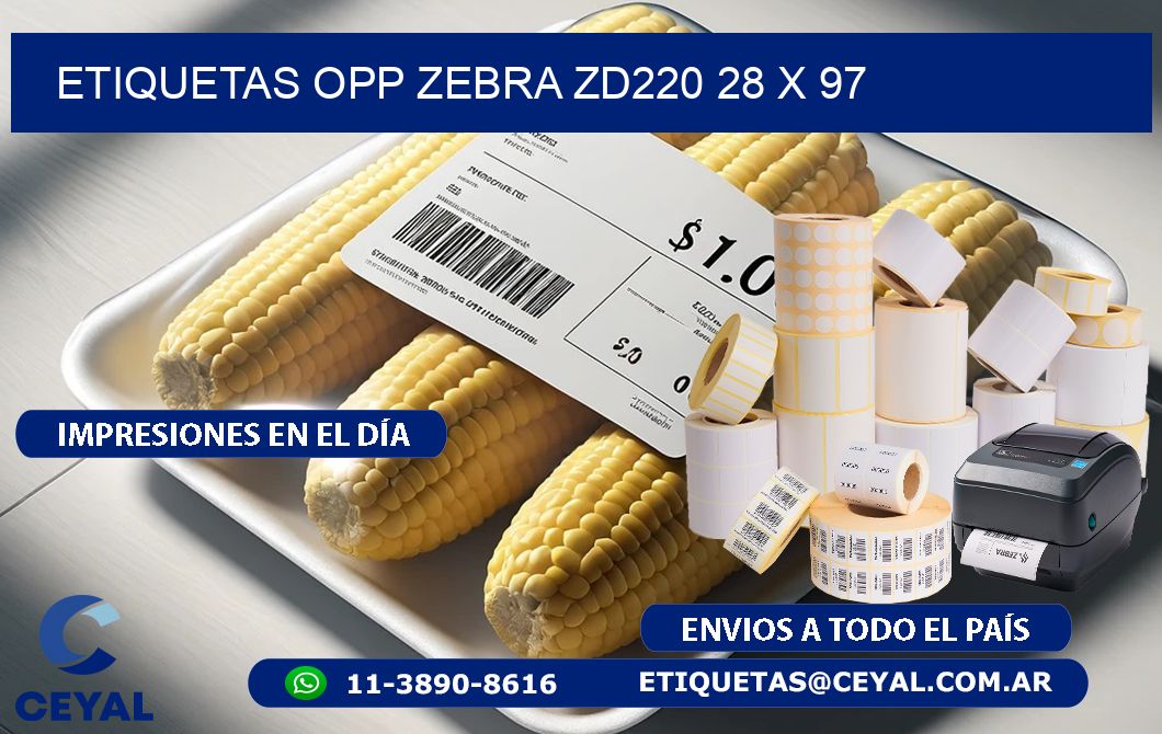 ETIQUETAS OPP ZEBRA ZD220 28 x 97