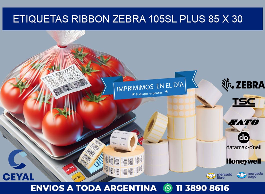 ETIQUETAS RIBBON Zebra 105SL Plus 85 x 30