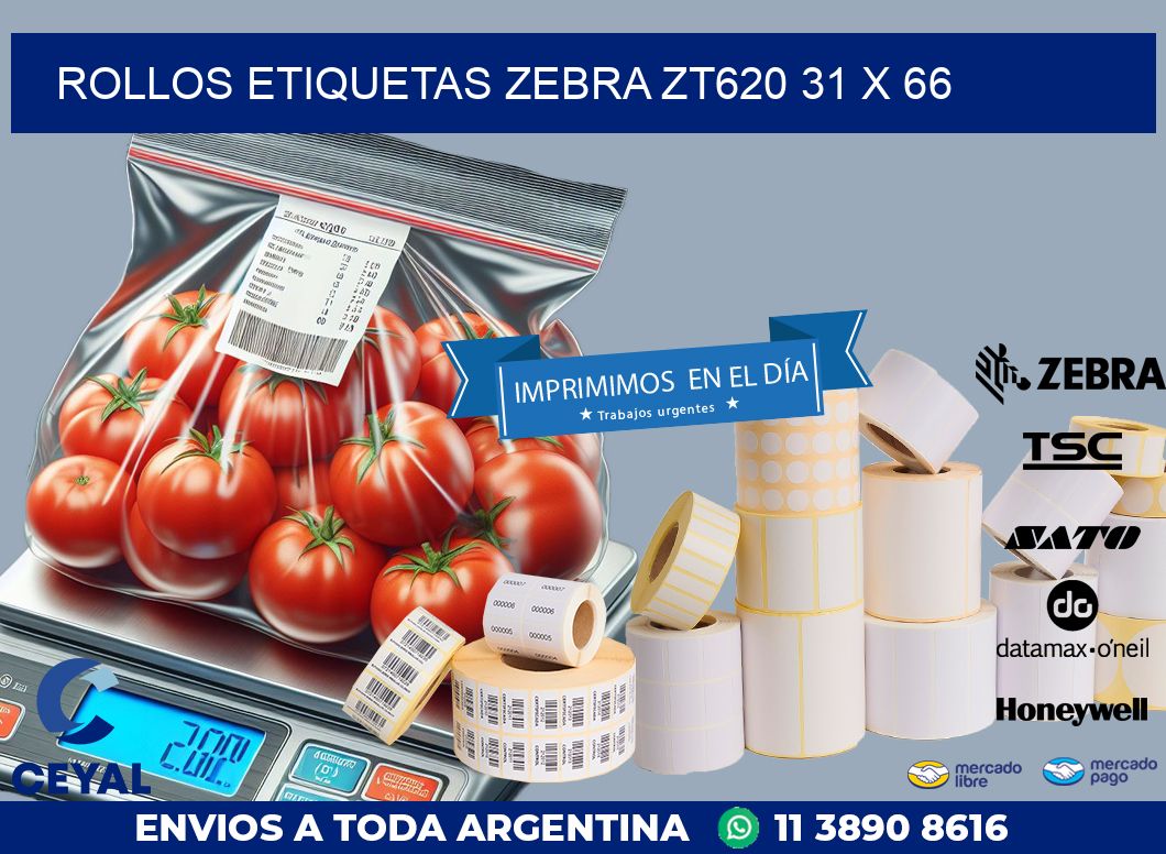 ROLLOS ETIQUETAS Zebra ZT620 31 x 66