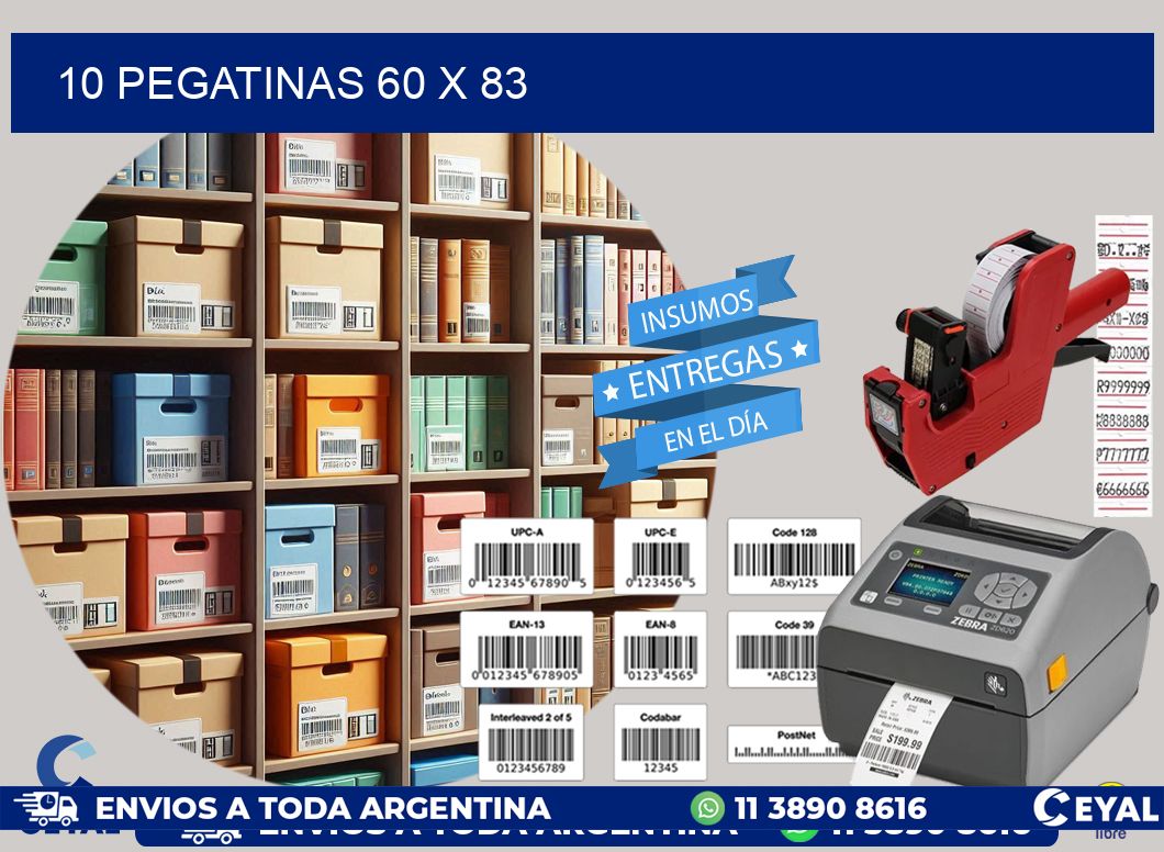 10 PEGATINAS 60 x 83