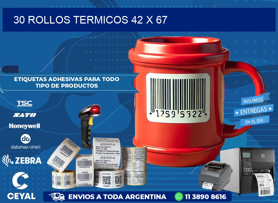 30 ROLLOS TERMICOS 42 x 67