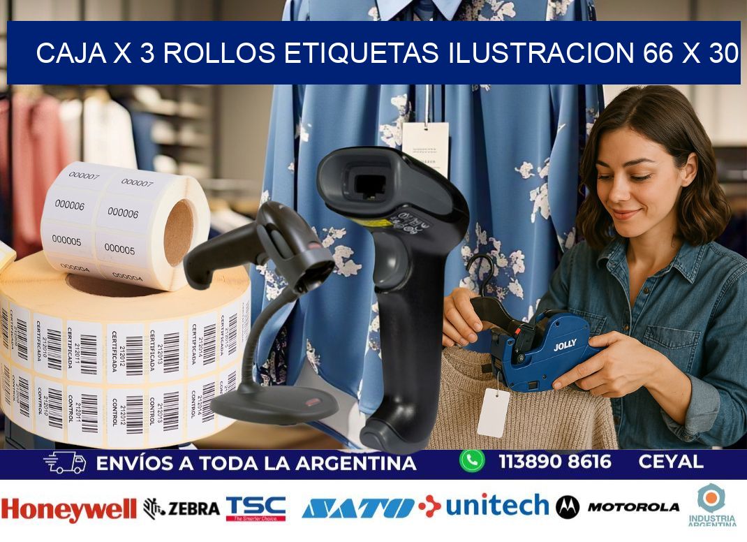 Caja X 3 Rollos Etiquetas Ilustracion 66 x 30