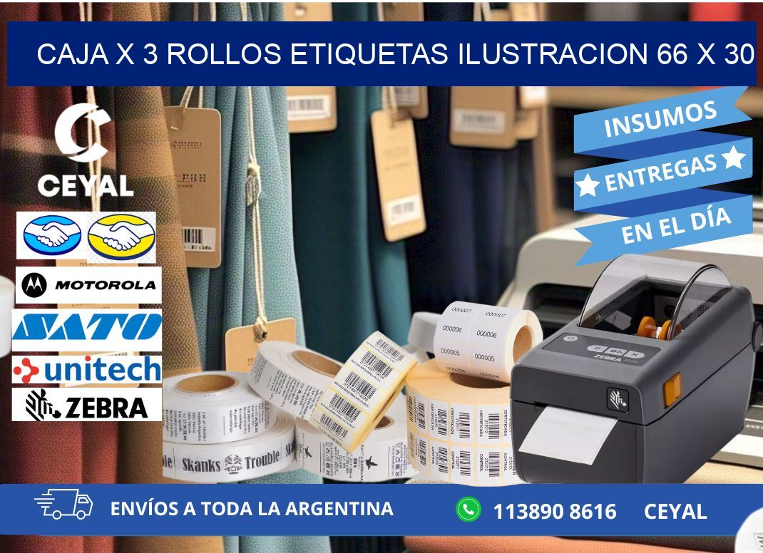 Caja X 3 Rollos Etiquetas Ilustracion 66 x 30